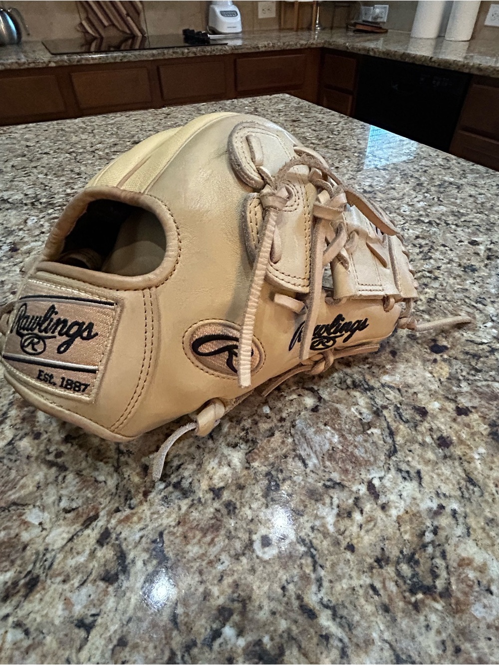 Rawlings Heart of the Hide baseball glove